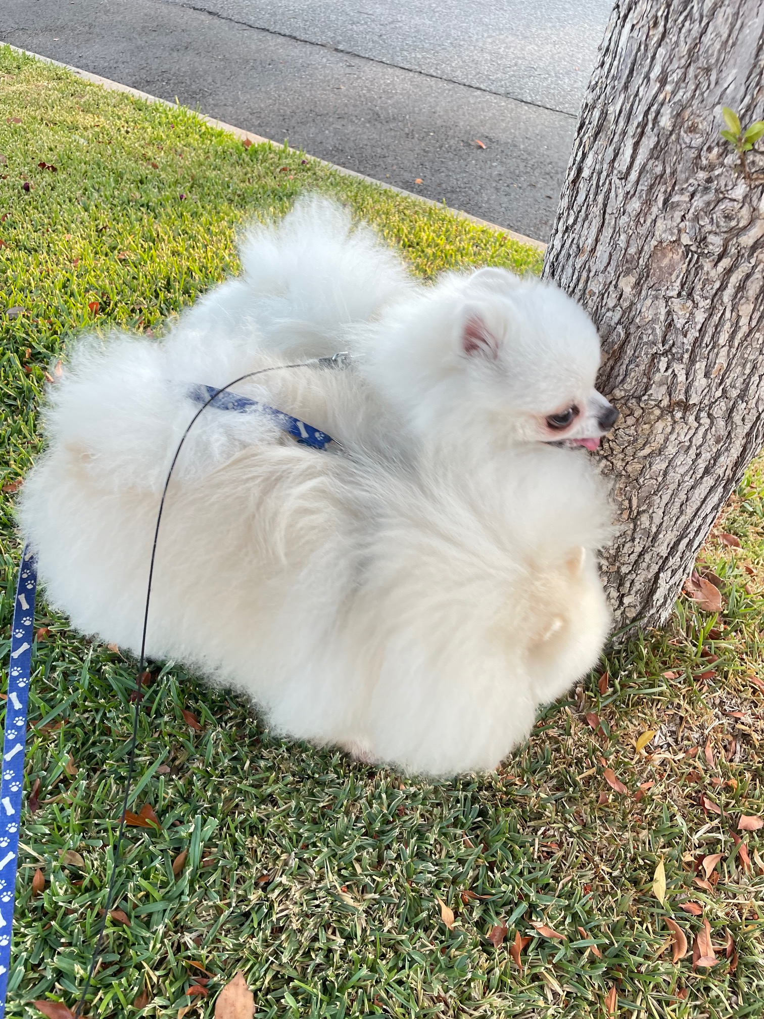 20250716-001005548-b9df-bae6bf9d56b4_image1 _3_.jpeg